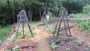 biodynamics garden