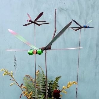 March Sunday 22, Dragonfly (Jo Kilmer)