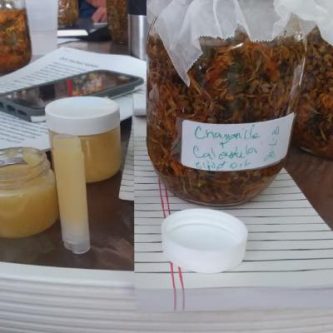 September 13, Herbal Medicine Making "Salves and Balms"