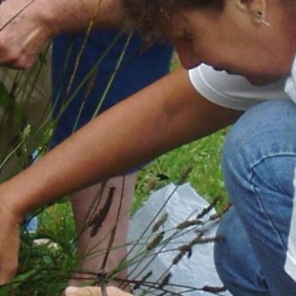 June Monday 1, Herbal Tinctures and Infusions