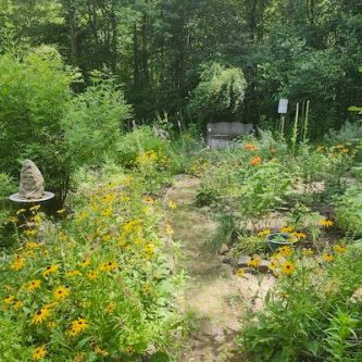 May Sunday 17, The Medicinal Herb Garden